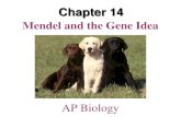Mendel and the Gene Idea · Dominant vs. Recessive Alleles • The third concept is that if the two alleles at a locus differ, then: • One allele (the dominant allele) determines