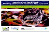 Bats in Our Backyard: Meeting Minnesota’s Marvelous Mini ...nrri.umn.edu/bats/downloads/0.1_Student_Activity_Book.pdf · The facts you know about an animal helps you decide if you
