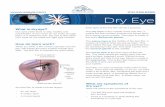 210.226.6169 Dry Eye · 2018-02-01 · Here are some of the symptoms of dry eye. • You feel like your eyes are stinging ... • Having refractive eye surgery, such as LASIK •