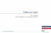 CMMI and Agile - Software Value...©2013 David Consulting Group Manifesto for Agile Software Development 4 •We are uncovering better ways of developing software by doing it and helping