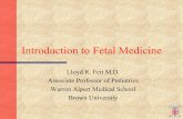 Introduction to Fetal Medicine - Alpert Medical 2013-03-03آ  Introduction to Fetal Medicine Lloyd R.
