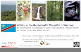 REDD+ in The Democratic Republic of Congo: Institutional … · 2015 2016 Initialisation Phase 1 Readiness Phase 2 Investment Phase 3 Implementation Interim / experimental framework