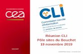 Réunion CLI Pôle sites du Bouchet 19 novembre 2019 · 2020-02-11 · RÉSULTATS 2018 DE LA SURVEILLANCE DOSIMÉTRIQUE 17 DÉCEMBRE 2019 CEA/DRF/Paris-Saclay | 19 novembre 2019 |