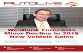 WesBank Forecasts Minor Decline in 2019 New Vehicle Salesautolive.co.za/newsletters/autolive_117.pdf · Minor Decline in 2019 New Vehicle Sales. Subscribe for free @ Page 2 ... Business