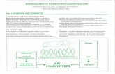 Biogeoclimatic Ecosystem Classification - British Columbia · Title: Biogeoclimatic Ecosystem Classification Author: Karel Klinka, R.N. (Bob) Green, Del V. Meidinger, Donald S. McLennan