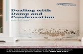 Dealing with Damp and Condensation - OneVisionovh.org.uk/wp-content/uploads/2019/08/DAMP-AND... · What are the different types of dampness? Damp is generally caused by a fault in