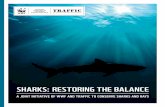 SHARKS: RESTORING THE BALANCE · – approximately 100 million sharks and their relatives are taken annually. :KLOH KLJKO\ SUR¿WDEOH IRU D IHZ SHRSOH LQ WKH VKRUW WHUP PRVW VKDUN