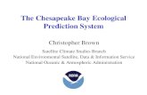 The Chesapeake Bay Ecological Prediction SystemMotivation of Ecological Forecasts in Chesapeake Bay • Chesapeake Bay represents an extremely valuable regional resource • Noxious