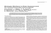 Biologic Markers in Risk Assessment for Environmental ......EnvironmentalHealthPerspectives Vol90,pp. 247-254, 1991 BiologicMarkersin RiskAssessment forEnvironmentalCarcinogens byF.
