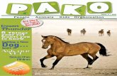 Entries for the - Pako Kids Magazine Magazine Iss… · Getting a new dog: how to choose the right dog... (part 2) Bred to be a sled dog, the Siberian Husky makes a great all-round