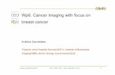 Wp6. Cancer Imaging with focus on breast cancer...Wp6. Cancer Imaging with focus on breast cancer Anikitos Garofalakis ‘Frederic Joliot Hospital Service(SHFJ), Institute of Biomedical