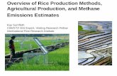 Overview of Rice Production Methods, Agricultural Production, … · Paddy rice CH 4 11% Enteric fermentation CH 4 32% Manure handling CH 4 and N 2 O 7% Fertilizers N 2 O 38% 5.1