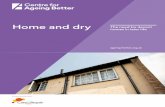 Home and dry March 2020 decent homes - Ageing Better · homes has risen from 533,000 in 2012 to 701,000 in 2017. This age group are also disproportionately likely to be living in