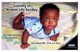 Sanctity of Human Life Sunday · Sanctity of Human Life Sunday His mom went for an abortion... but chose life. Find out why. ... Friends for Life: Denise, center, was determined to