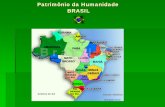 Patrimonio da Humanidade no BrasilAté a 30.ª sessão do Comitê do Patrimônio Mundial, em Julho de 2006, ... 1987 Plano Piloto de Brasília – Brasília, a capital criada no centro
