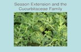 Season Extension and the Cucurbitaceae Family · 2015-04-03 · 1. Increase earlier yields by raising the soil temperature, promoting faster plant development 2. Conserve soil moisture,