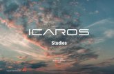 Studies - icaros.com · Short and long leverage plank, side plank, and some other classical core exercise, like the „bird-dog “,can be performed on ICAROS with several variation