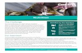 Nutrition - Concern Worldwide · Microsoft Word - Nutrition 2-Pager.doc Created Date: 1/29/2020 3:43:07 PM ...