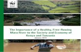 The Importance of a Healthy, Free-flowing Mara River to the … · 2019-09-17 · Water shortages in the Masai Mara and Serengeti may also result in the failure of the wildebeest