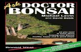 Contents · 2018-08-27 · Contents 2 What is Bonsai? 7 Basic Bonsai Care 11 Indoor Trees 11 Light 12 Humidity 12 Ventilation 13 Temperate trees 16 Cold Weather trees 20 Fertilizing