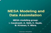 MESA Modeling and Data Assimilation · data during SALLJEX, following a downscaling methodology, using the Regional Atmospheric Modeling System (RAMS), Version BRams 3.2 Skabar and