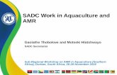 SADC Work in Aquaculture and AMR · 1.1 Major highlights from SADC countries to contain AMR since 2015 - Six countries have approved NAPS (Zimbabwe, Zambia, Tanzania, Malawi, South