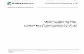 User Guide to the LoRa® PicoCell Gateway V1- The packet forwarder is a program running on the host of a LoRa® gateway that forwards RF packets received by the concentrator to a server