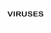 VIRUSES - Weeblymrpbiology.weebly.com/uploads/2/7/5/6/2756971/viruses.pdf · 2019-11-18 · avian influenza since 2003 Azerbaijan Cases. 8 Deaths. 5 Status as of 16 December 2008