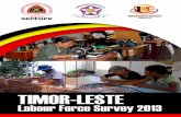 iii - International Labour Organization · 2016-08-11 · i-Lest orc urv 2013 iii Preface We are pleased to present the results from the Labour Force Survey (LFS) 2013. The LFS 2013