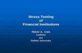 Stress Testing of Financial Institutionsbccl.gov.lb/pdf_files/seminars_pdf_files/stress... · Stress Tests Complement to statistical risk-management models, such as Value-at-Risk