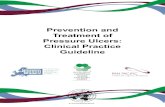 Prevention and Treatment of Pressure Ulcers: Clinical ... CPG 2014.pdfprevention and treatment of pressure ulcers that could be used by health professionals throughout the world. An