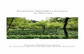 Traditional WASABI Cultivation in Shizuoka · mountainous scenery that is representative of Japan and is expected to be utilized for environmental education and as tourist attractions.