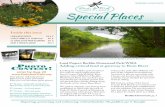Special Places...Special Places Parks & Trails CounCil of MinnesoT a newsleTTer Acquiring, protecting and enhancing critical land for the public’s use & benefit. Looking for a hidden