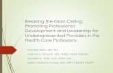 Breaking the Glass Ceiling: Promoting Professional Development … · 2019-03-13 · Breaking the Glass Ceiling: Promoting Professional Development and Leadership for Underrepresented