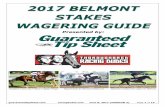 2017 BELMONT STAKES WAGERING GUIDE - Guaranteed Tip Sheet€¦ · guaranteedtipsheet.com racingdudes.com June 8, 2017 (VERSION 3) Page 2 of 15 Belmont Stakes Welcome! Thank you for