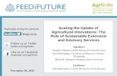 Scaling the Uptake of Agricultural Innovations: The Role of Sustainable Extension … · 2016-03-18 · Agricultural Innovations: The Role of Sustainable Extension and Advisory Services
