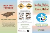 Turtle Island brochure - Toronto Zoo · Turtle Island Conservation Initiative OUR OBJECTIVES ARE: 1. To foster respect for self, community, Mother Earth, and the Creator. 2. To recognize