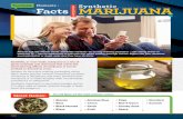 Teachable Moments - Facts About Synthetic Marijuana · Synthetic, or man-made, marijuana is a mix of plant materials and chemicals that mimic the mind-altering effects of marijuana.