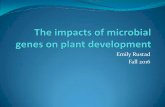 Emily Rustad Fall 2016 · 2017-09-08 · UC Davis Bioinformatics core . Title: PowerPoint Presentation Author: Emily Kay Rustad Created Date: 6/20/2017 8:23:43 AM ...