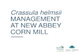 Crassula helmsii MANAGEMENT AT NEW ABBEY CORN MILL · HES 2011 (Canmore Ref: DP00108270) HES 2019 (Method Statement) INITIAL MANAGEMENT SCREENING AND WASTE MANAGEMENT Rock Dam Filters