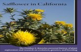 Safflower in Californiaigure 2. Genome evolution in genus 14 F Carthamus. Contents iii Photographs aul Knowles, UC Davisx P wo-row planter used for safflower in India in 1965.4 T inor
