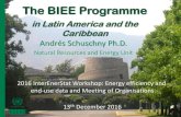 The BIEE Programme - Microsoft...BIEE Programme: Process / Activities 1. Governments commitments / designation of a Focal Point 2. Capacity Building Workshops (presentation of the