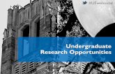 Undergraduate Research Opportunities · Stimulate, encourage, and support research activities by exceptionally talented undergraduate students Research with designated Beckman Mentors