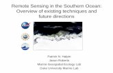 Remote Sensing in the Southern Ocean: Overview of …...Modified after: Esaias, Wayne E., 1981: Remote Sensing in Biological Oceanography. Oceanus, Vol. 24, Number 3, 32-38. Large