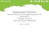 Deepwater Horizon Trustee Council Annual Meeting Presentation … · 2020-07-24 · Deepwater Horizon Natural Resource Damage Assessment & Restoration. Trustee Council Annual Public