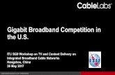 Gigabit Broadband Competition in the U.S....TV providers • AT&T/DirecTV • Comcast • Charter • DISH • 96% served by seven pay TV providers • AT&T/DirecTV • Comcast •