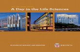 2010 – 2011 ANNUAL REPORT A Day in the Life Sciencesbiomed.brown.edu/download/Biomed-Annual-Report11.pdf · 2012-04-26 · focus is medical education, and there is no shortage of