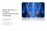 Renal disease in Canada – Understanding the Challenge · Renal disease in Canada – Understanding the Challenge CKD Symposium November 29, 2014 . ... • Renal replacement therapy