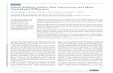 Sebum/Meibum Surface Film Interactions and Phase ... · Cornea Sebum/Meibum Surface Film Interactions and Phase Transitional Differences Poonam Mudgil,1 Douglas Borchman,2 Dylan Gerlach,2