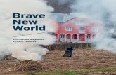Brave New Worldbravenewworld.komsoe.eu/wp-content/uploads/2016/10/BNW...Brave New World – Romanian Migrants' Dream Houses ed.: Raluca Betea, Beate Wild. – Bucharest: Romanian Cultural
